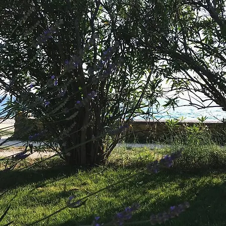 Appartement Puntica Petrčane