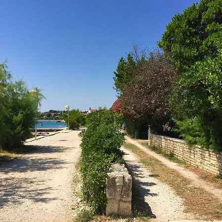 House Puntica - Puntica Petrcane