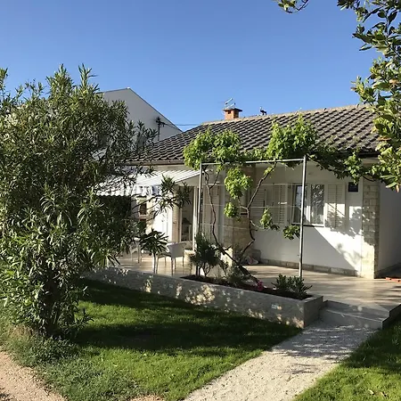 Puntica 佩特坎内