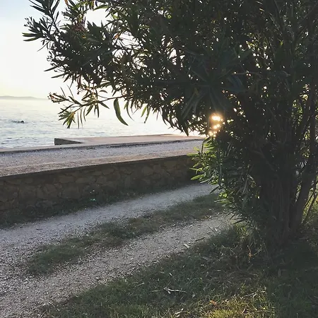 Puntica Petrcane