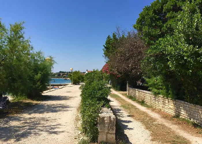 Puntica 佩特坎内