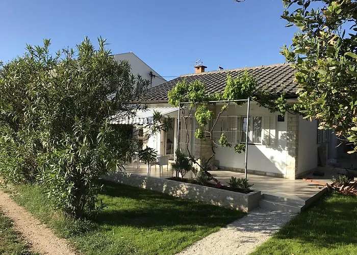 Puntica 佩特坎内