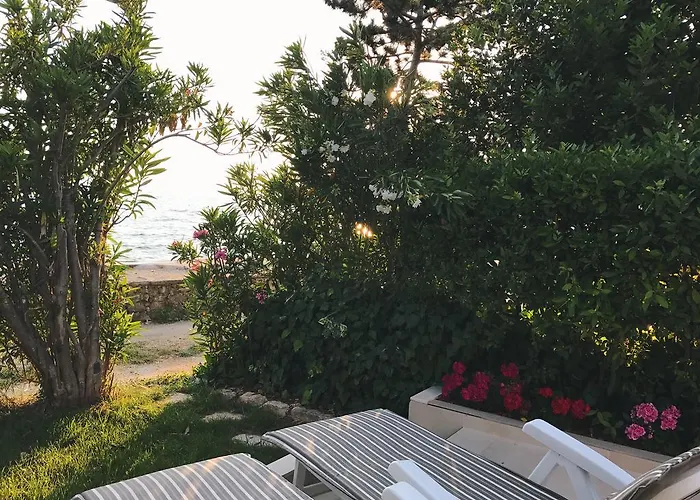 Puntica 公寓 佩特坎内