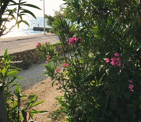 Appartement Puntica *