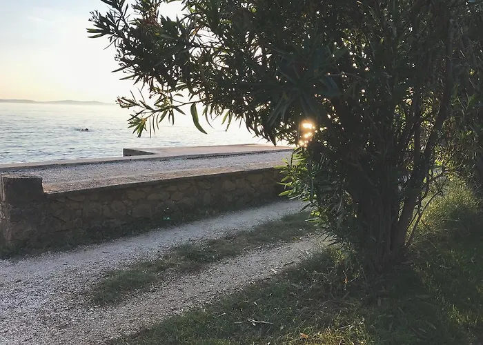 Puntica 佩特坎内