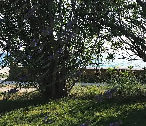 公寓 Puntica 佩特坎内